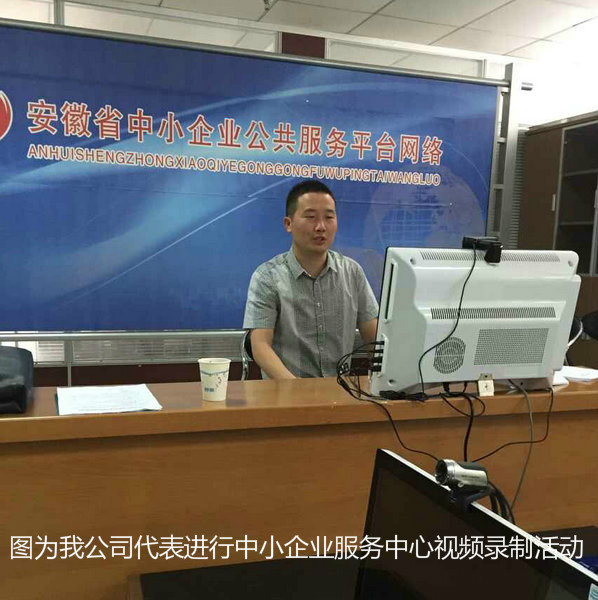 安徽臥濤代表參與中小企業(yè)服務(wù)中心科技項(xiàng)目申報演講