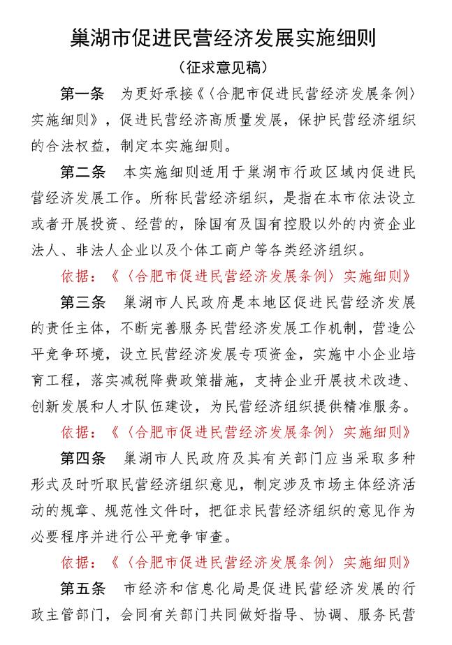 巢湖市促進民營經濟發(fā)展實施細則